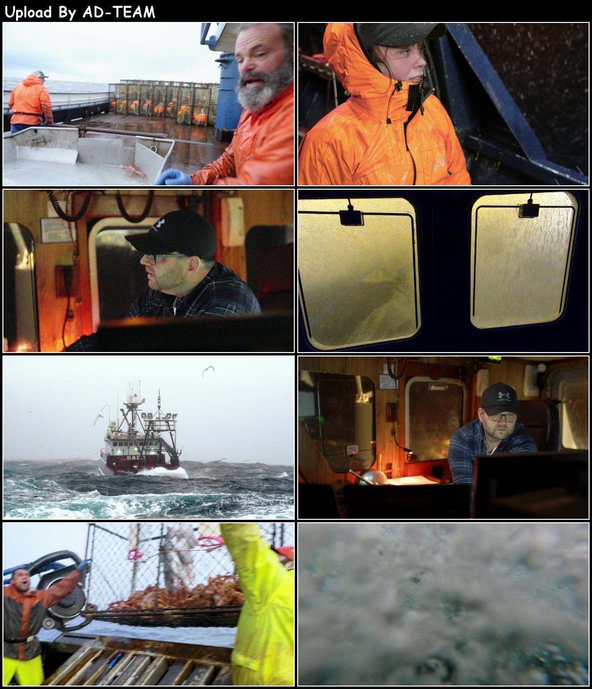 JQ9YgO7t_o.jpg