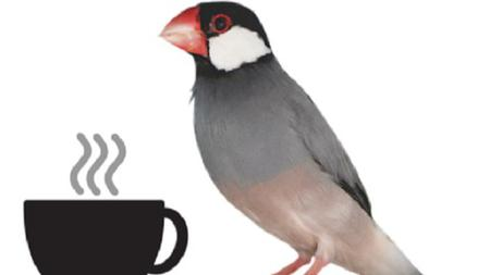 21b5f1932c1d6f5ce7ed31757f1af07e.png