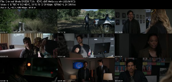 329493003_criminal-minds-s16e06-720p-hevc-x265-megusta.jpg