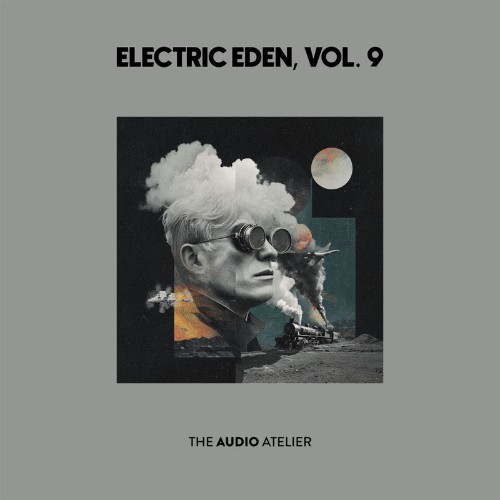 VA-Electric-Eden-Vol-9-TAALP042-WEB-2026-Zz-Zz.jpg