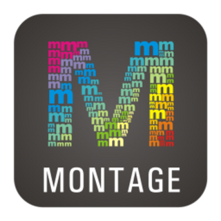 Wids-Mob-Montage.png