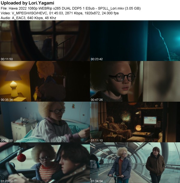 325046100_hawa_2022_1080p_webrip_x265_dual_sp3ll_lori.jpg