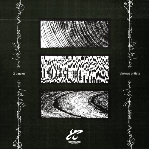 00-va-various-artists-2-va2-web-2026-cover.jpg