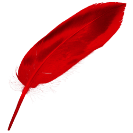 b19dc26d-da3a-4fae-a79f-2d56b2e645fd.png