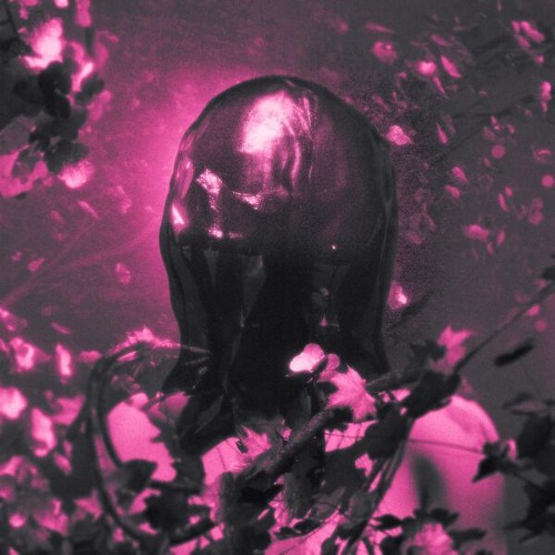 Pinknoise-FLESH-AND-BONE-EP-WEB-2026-ENTi-TLED.jpg