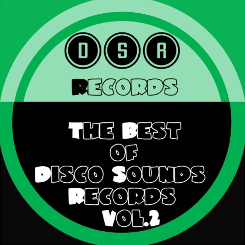 00-va-the-best-of-disco-sounds-records-vol-2-dsr061-web-2026-bf.jpg