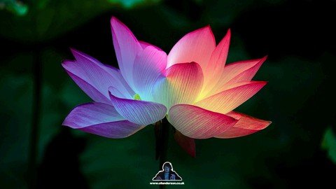 6-SROeqz-GR5-Sf-NA5r7-O9-PVKFu-Rohu5-Bu-Q.jpg