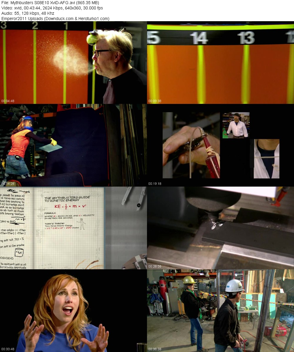 361291780_8nzibz5n94yn.jpg