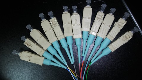 2656852-b2e4.jpg