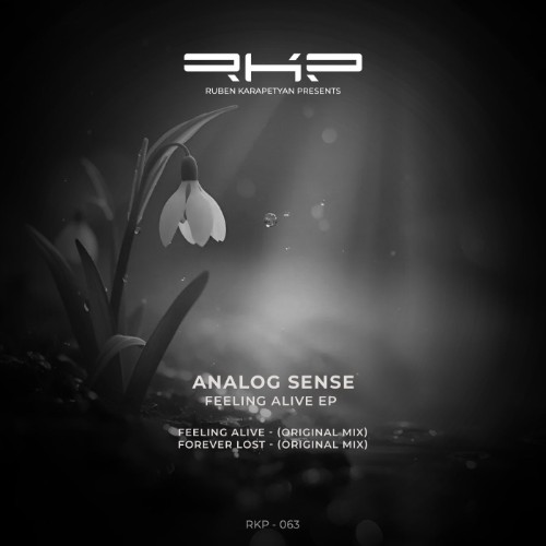 00-analog-sense-feeling-alive-rkp063-web-2026-cover.jpg