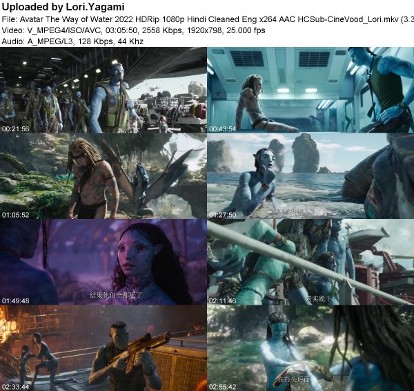 343526424_76d582f3388709a43a02cb03690e7c58.jpg