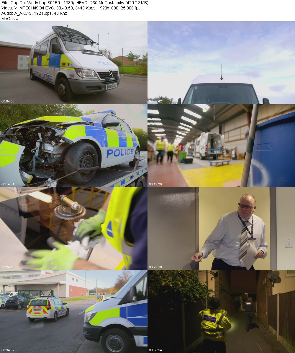 399514701_cop-car-workshop-s01e01-1080p-hevc-x265-megusta.jpg