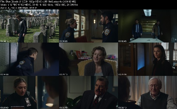 328656382_blue-bloods-s13e09-1080p-hevc-x265-megusta.jpg
