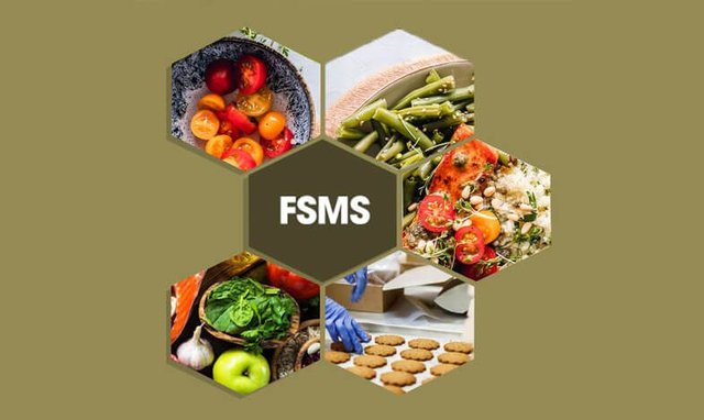 ISO-22000-Food-Safety-Management-System-FSMS.jpg