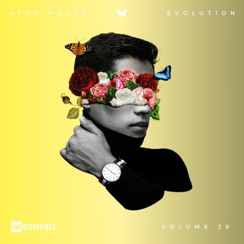 00-va-afro-house-evolution-vol-28-lwahevo28-web-2026-bf.jpg