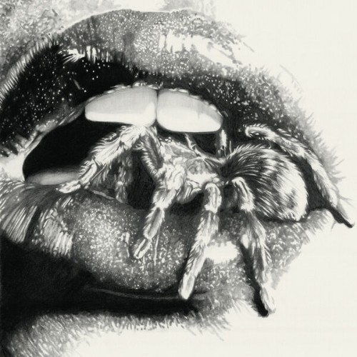 Masheena-Let-The-Spiders-In-24BIT-48KHZ-WEB-FLAC-2026-OBZEN.jpg