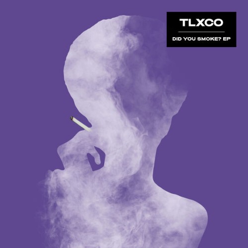 00-tlxco-did-you-smoke-slvmncr013-24bit-web-flac-2026.jpg