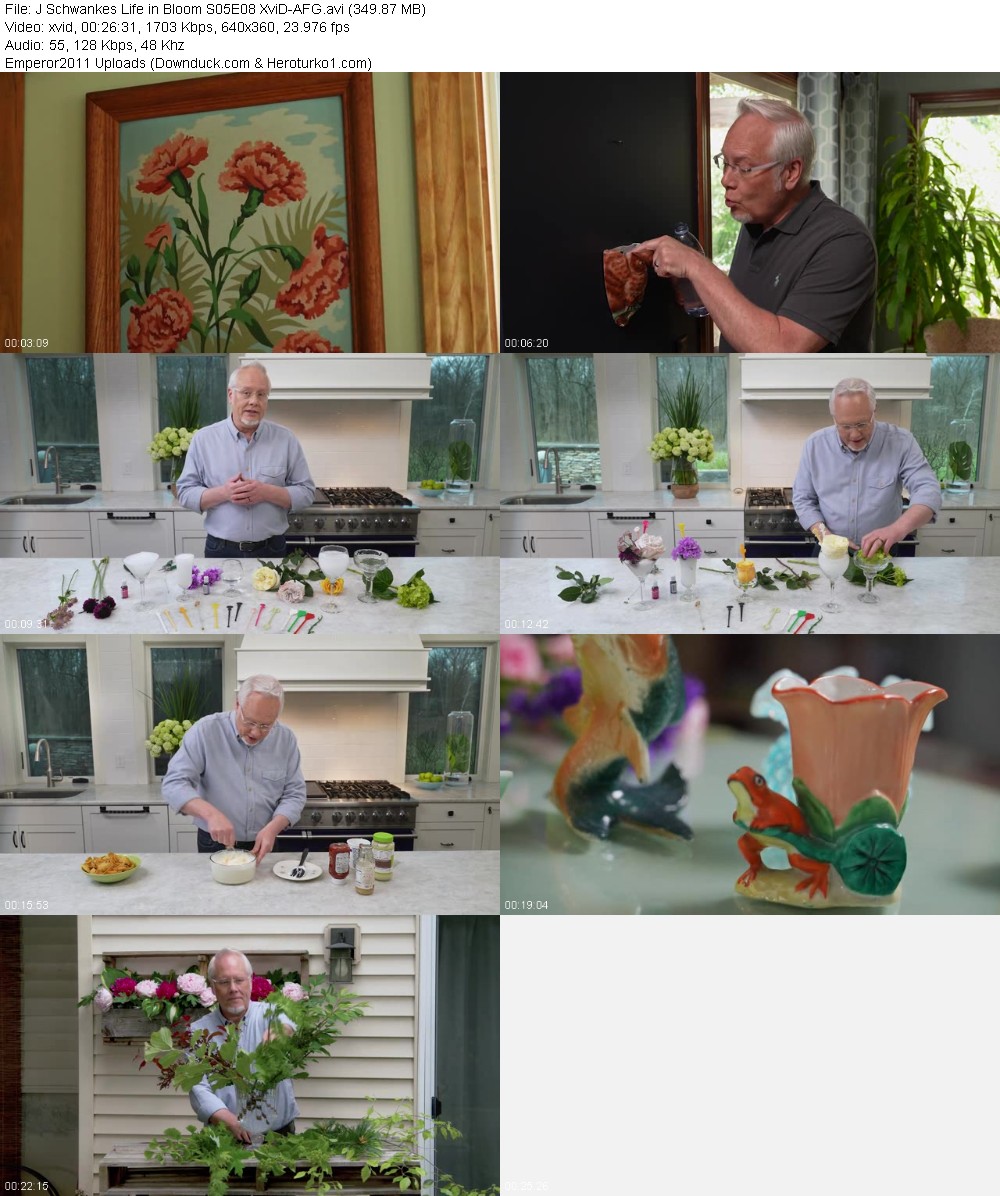 358894394_y22d35audozy.jpg