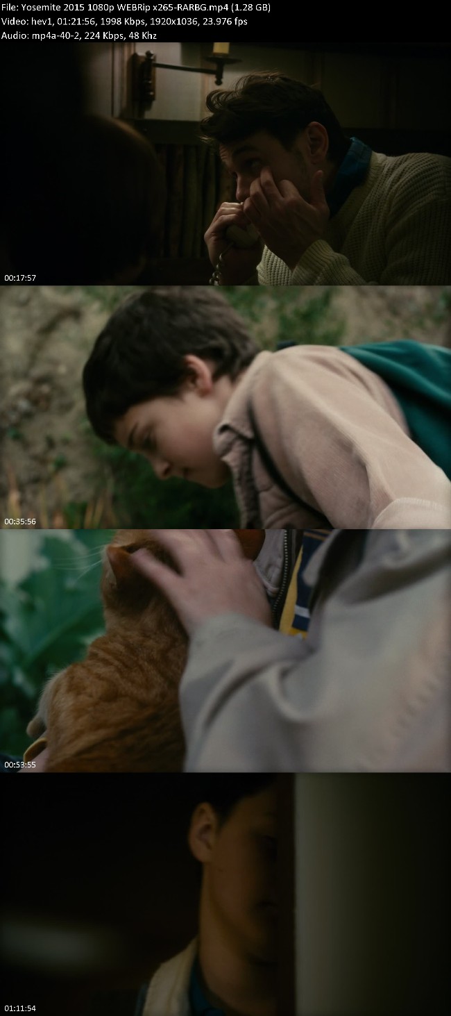 361798400_yosemite-2015-1080p-webrip-x265-rarbg.jpg