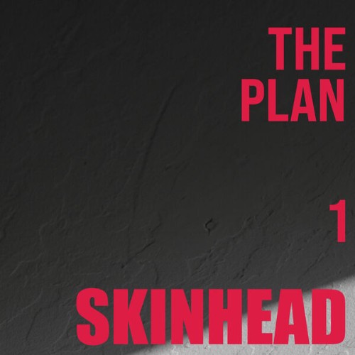 Skinhead-The-Plan-1-24BIT-WEB-FLAC-2026-VEXED.jpg