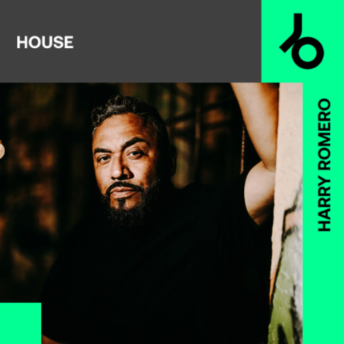 Harry-Romero-Curates-House.png
