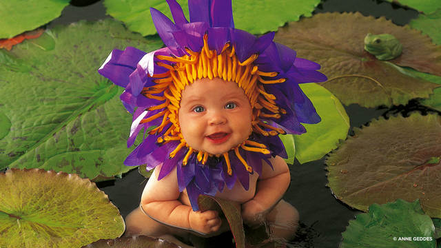 www.creativelive.com