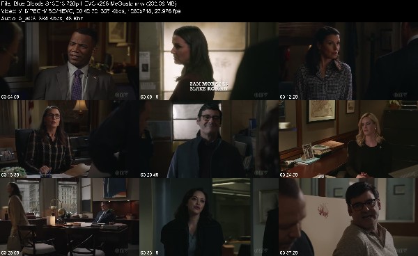 335363420_blue-bloods-s13e13-720p-hevc-x265-megusta.jpg