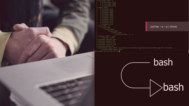 linux-endpoint-security-processes-v1.jpg