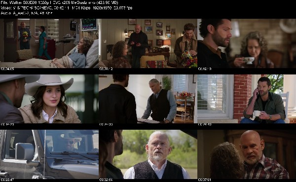 329670969_walker-s03e08-1080p-hevc-x265-megusta.jpg