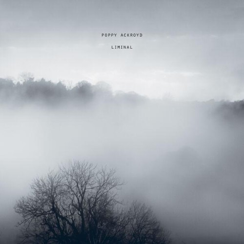 Poppy-Ackroyd-Liminal-16BIT-WEB-FLAC-2026-ENRi-CH.jpg
