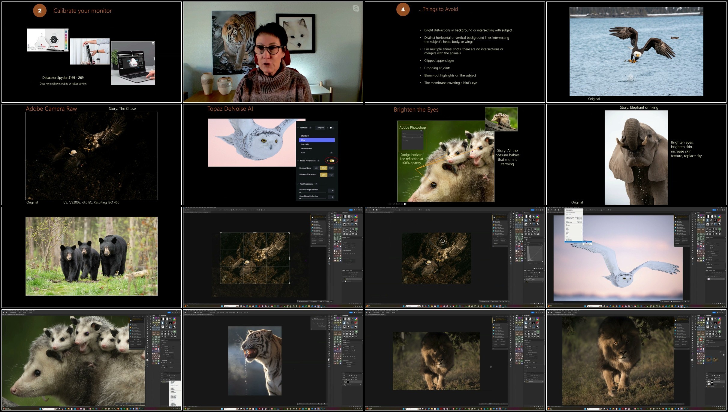 x4TPDfPC_o.jpg