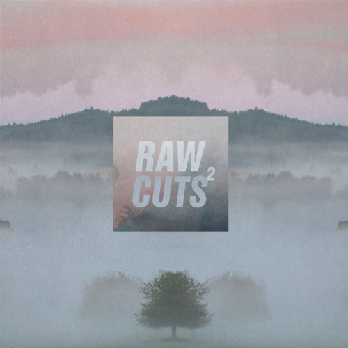 2017-Chillhop-Records-Chillhop-Raw-Cuts-2.jpg