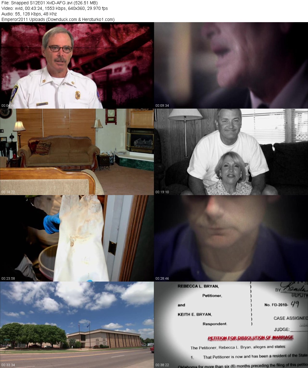 323697951_tp8u2w23zngq.jpg