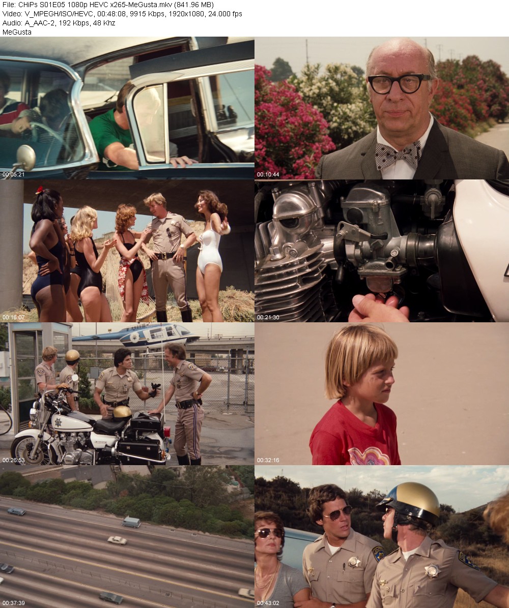 393758356_chips-s01e05-1080p-hevc-x265-megusta.jpg