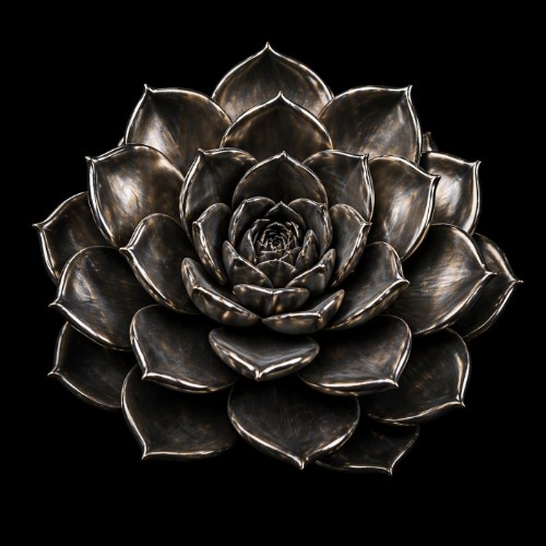 00-robert-babicz-electric-love-ep-flower0001-web-2026-cover.jpg