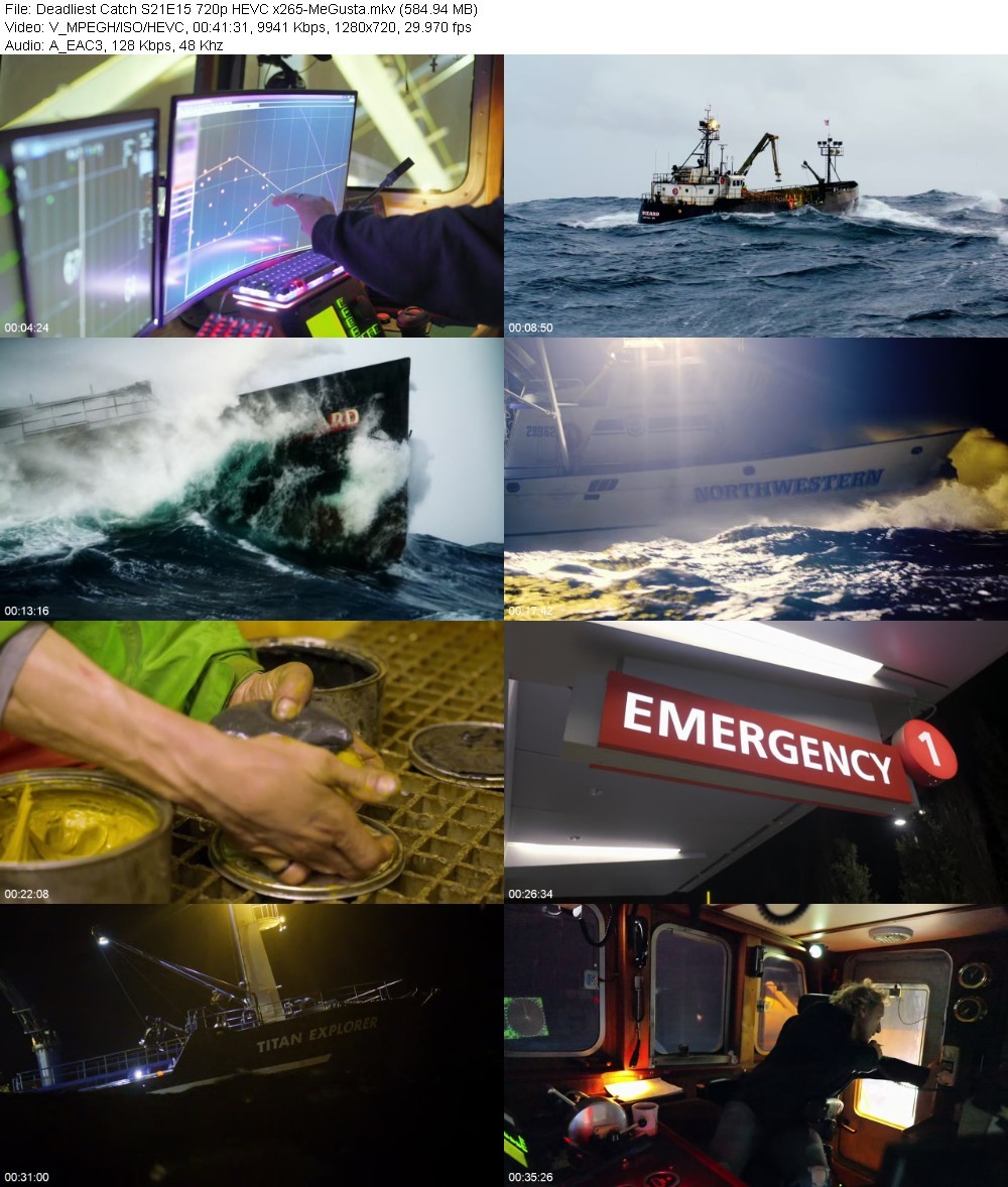 IXus5FXG_o.jpg