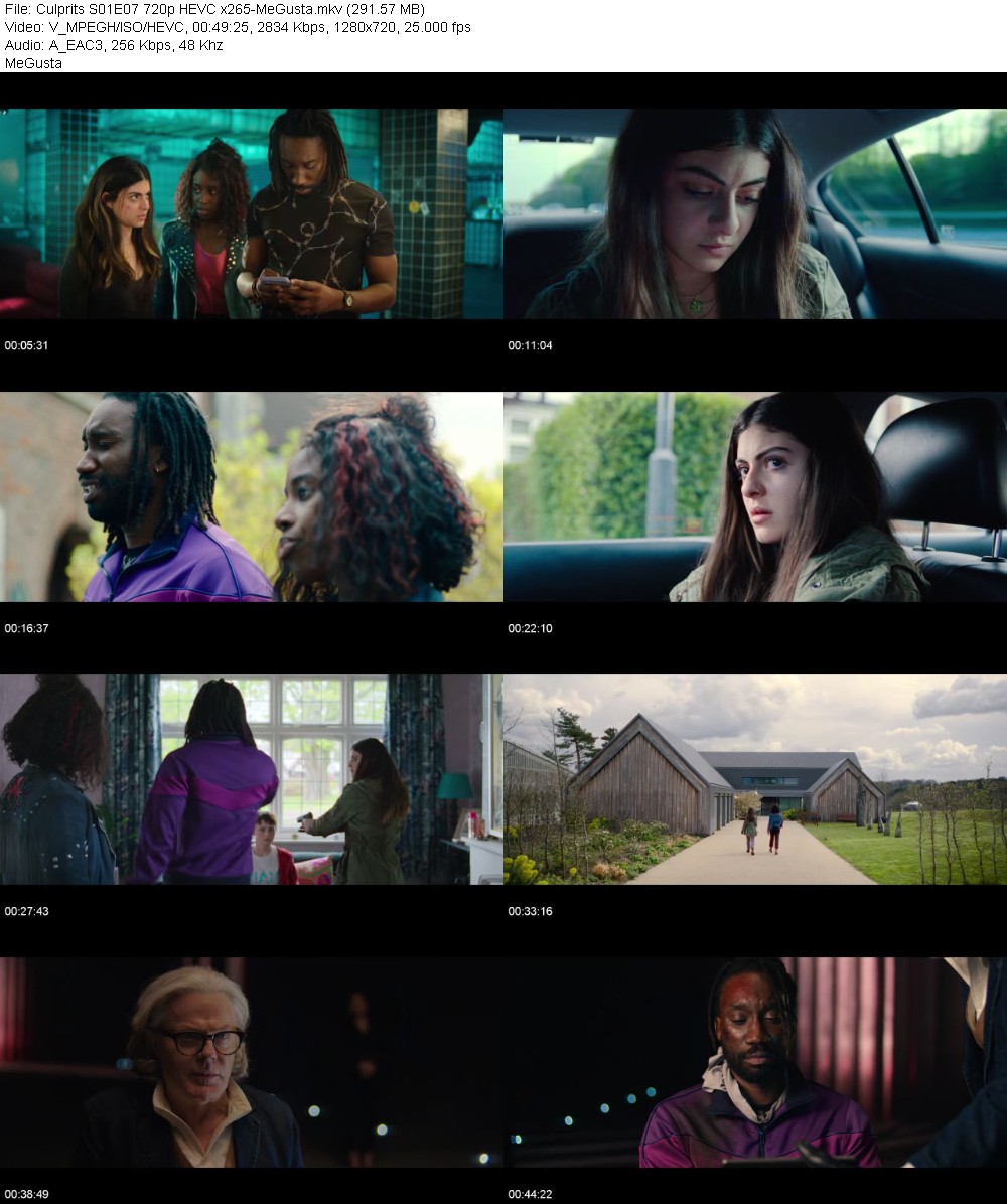 396925595_culprits-s01e07-720p-hevc-x265-megusta.jpg