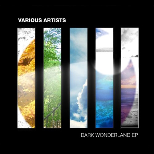 VA-Dark-Wonderland-EP-FOKUZ376-WEB-2026-BB.jpg