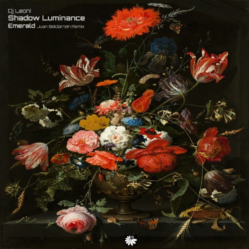 00-dj-leoni-shadow-luminance-uls291225-web-2026-cover.jpg
