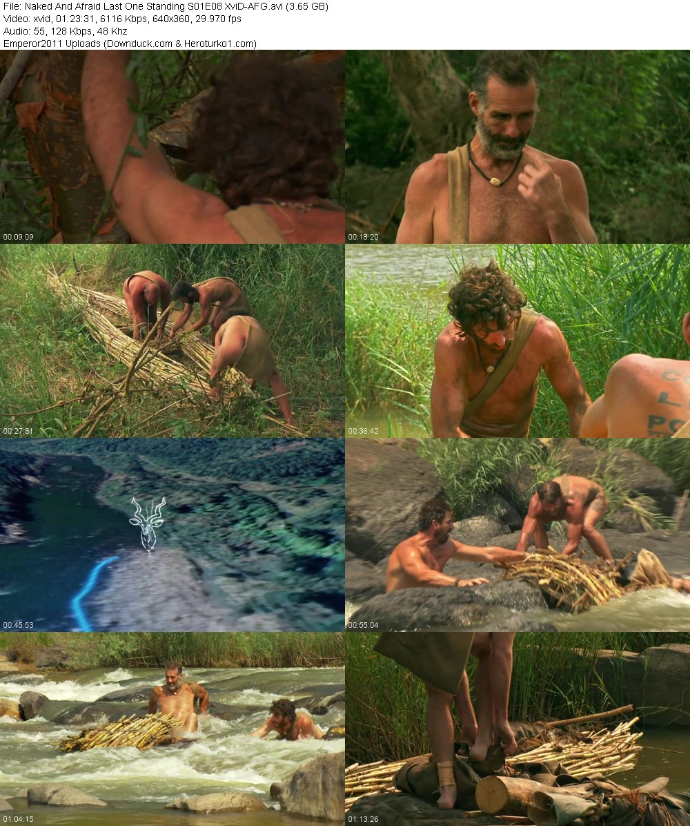 363279722_lztmir64x96b.jpg