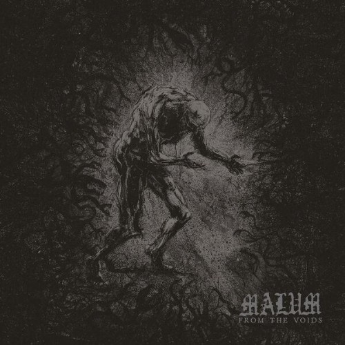 MALUM-From-The-Voids-24BIT-WEB-FLAC-2026-ENTi-TLED.jpg