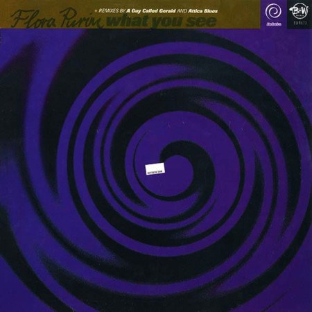 Flora-Purim-1995-What-You-See.jpg