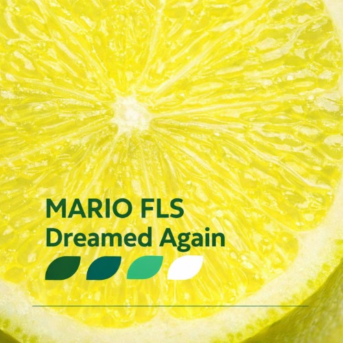 00-mario-fls-dreamed-again-cor0386-web-2026-cover.jpg