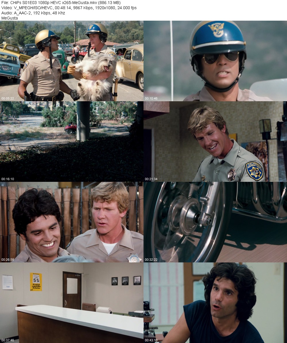 393704539_chips-s01e03-1080p-hevc-x265-megusta.jpg