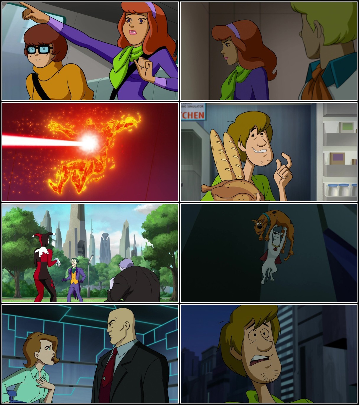 zMUvq31G_o.jpg