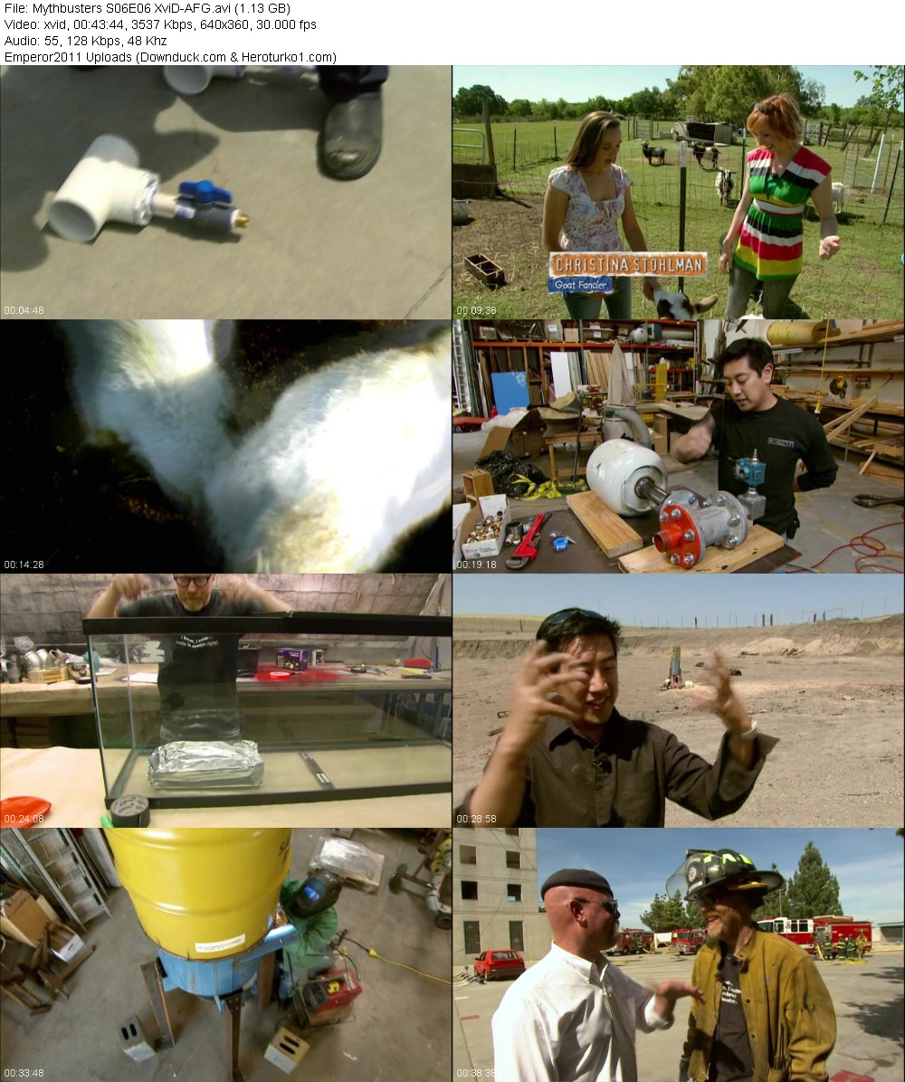 361234030_i03stkouk3t6.jpg
