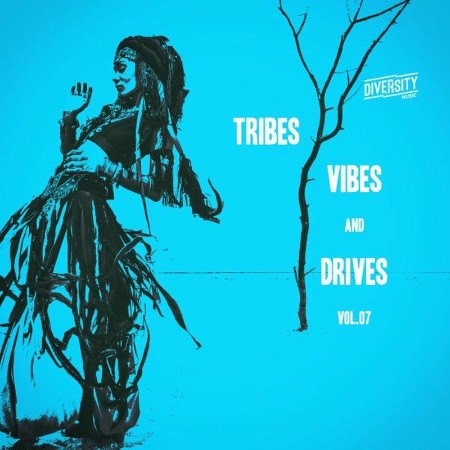 VA-Tribes-Vibes-and-Drives-Vol-7-DIVCOMP153-WEB-2025-Zz-Zz.jpg