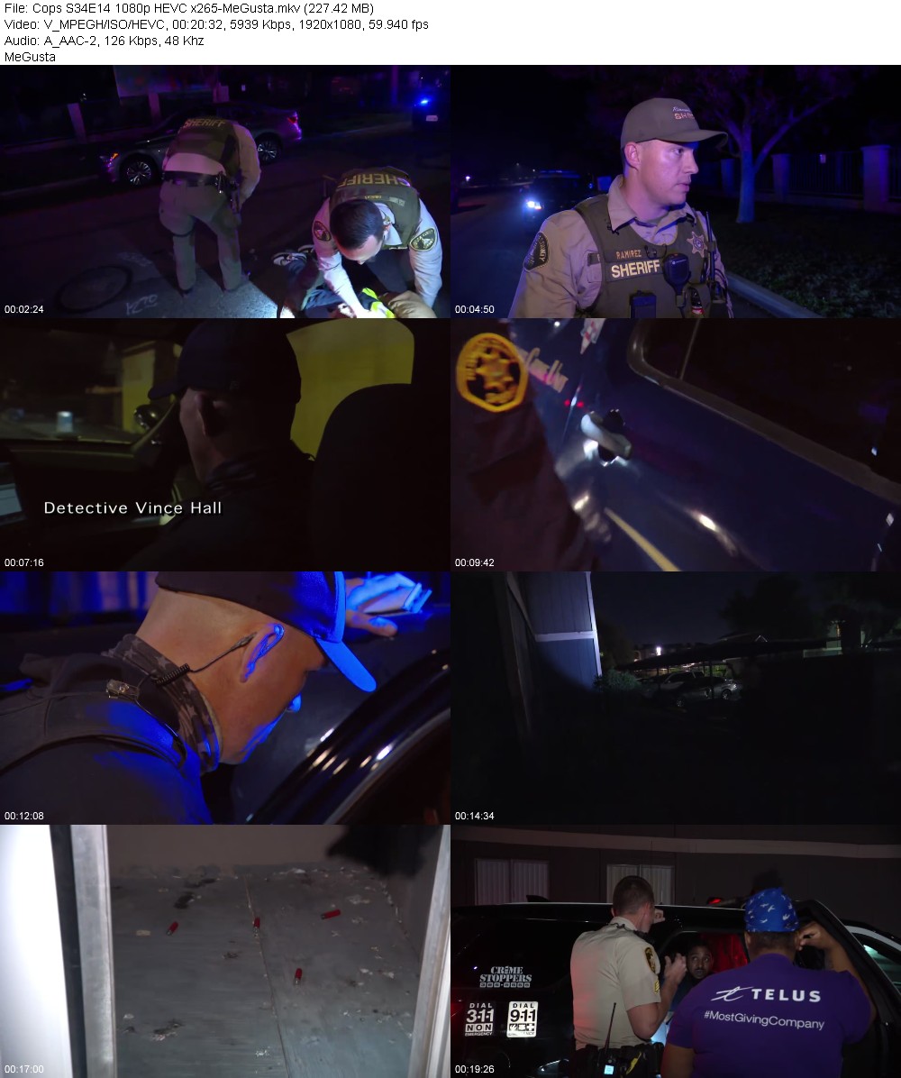 389956970_cops-s34e14-1080p-hevc-x265-megusta.jpg