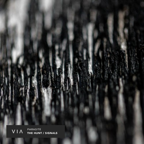 00-parasite-the-hunt-signals-via011-web-2026-cover.jpg