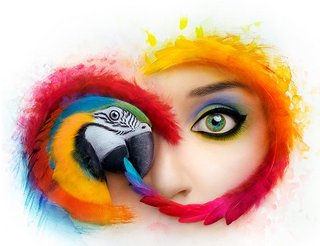 Adobe-Creative-Cloud-Collection.jpg